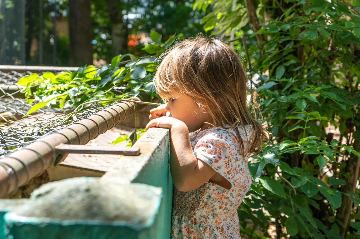 Kind schaut über eine Mauer in den Garten